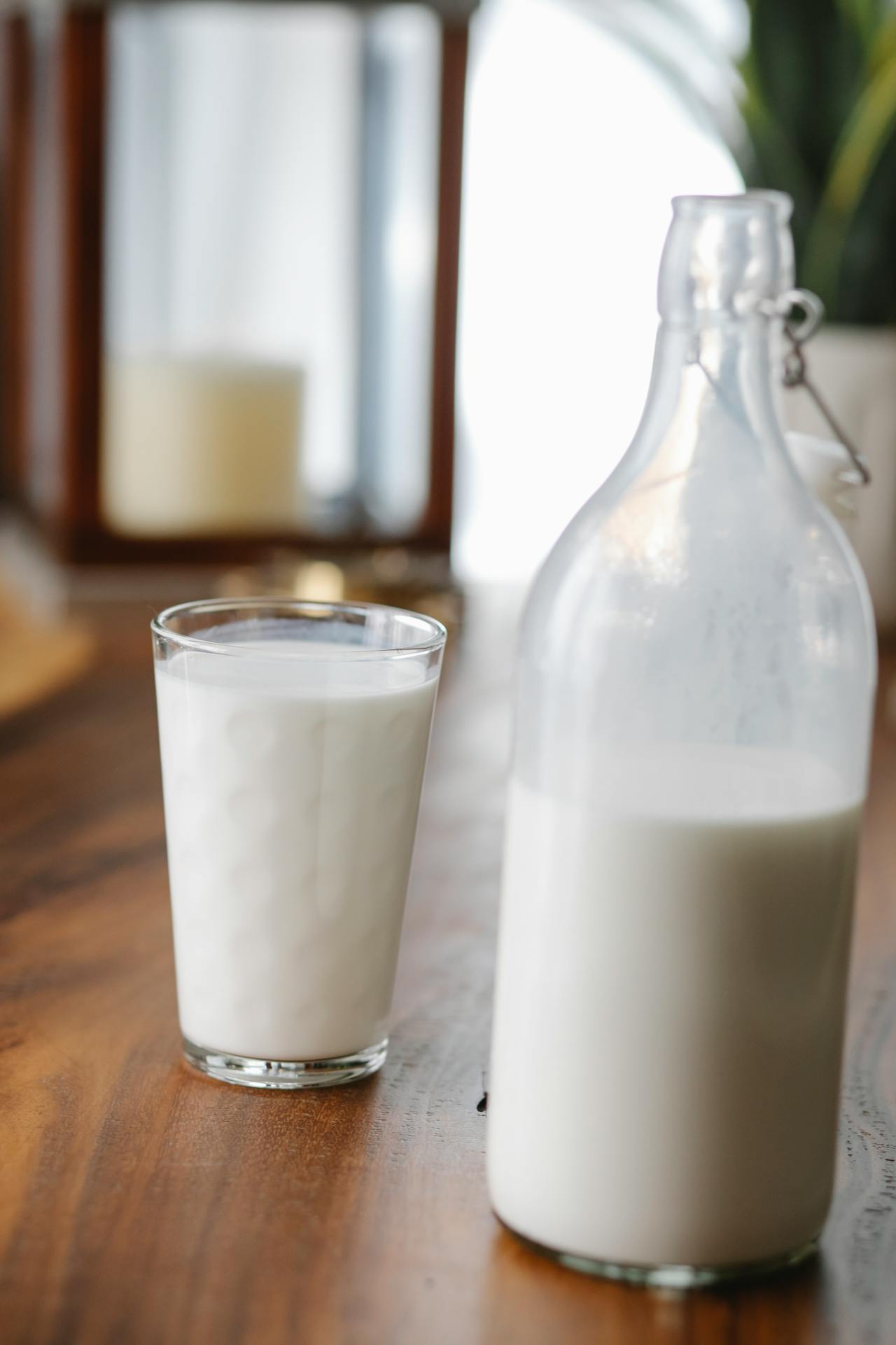 World Milk Day 2026 Health Benefits