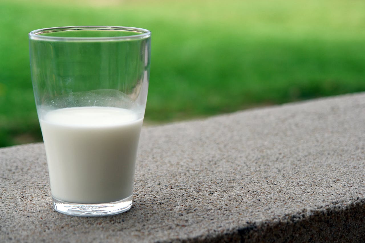 World Milk Day 2026 Health Benefits