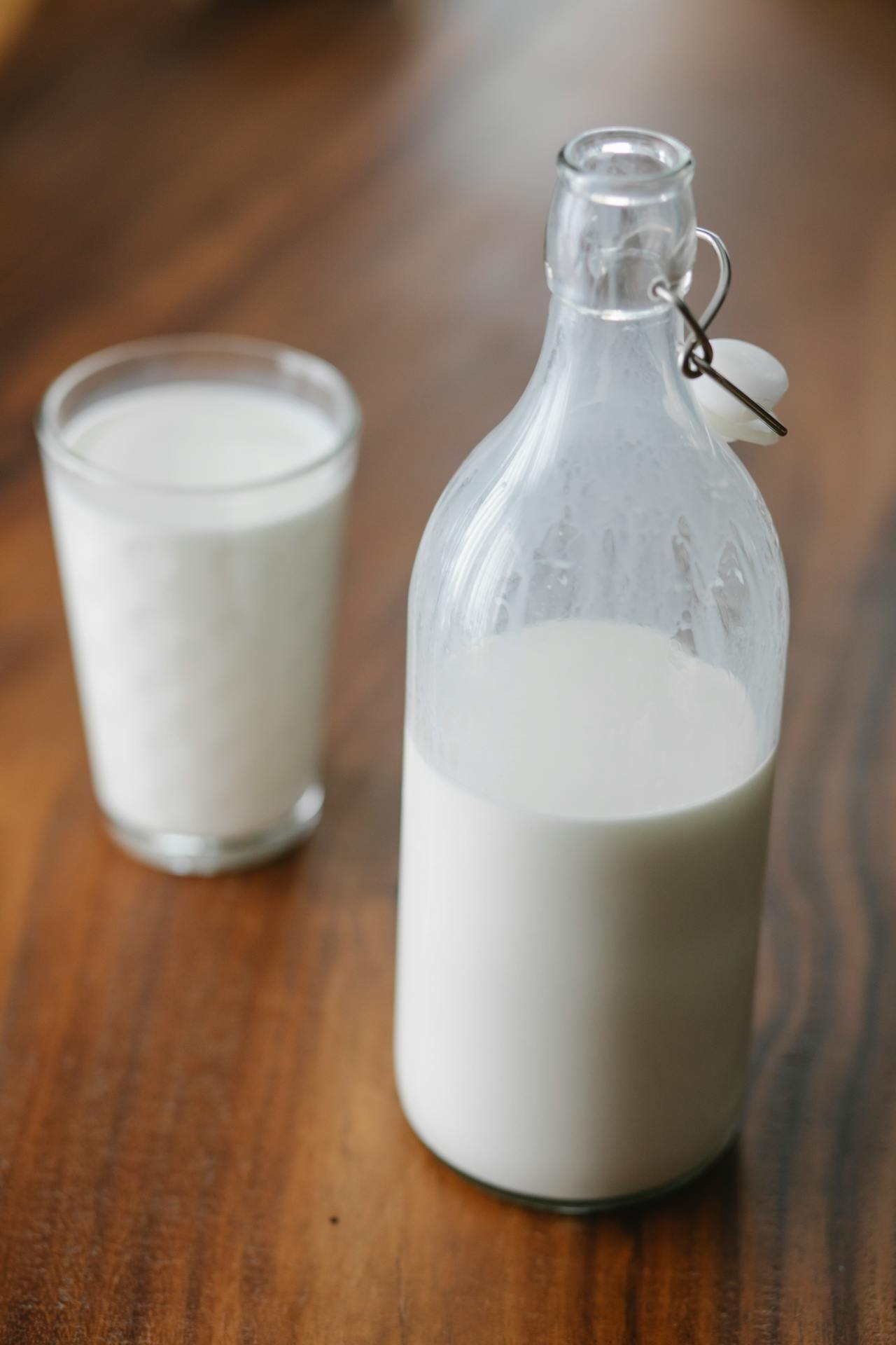 World Milk Day 2026 Health Benefits