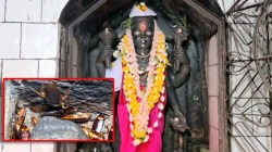 काॅक्रोच टेम्पल” पाहिलेय का? झुरळांना देवत्वाचा मान! कुठे ?