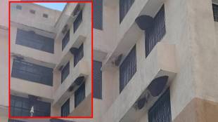 Gondia administrative building honeybee issue | Maharashtra govt offices honey bees hive | Gondia collector office premises news | Honey bee attack threat Maharashtra administrative building