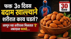 फक्त ३० दिवस बदाम खाल्ल्याने शरीरात काय घडतं? जाणून घ्या शरीराला मिळतात ‘हे’ जबरदस्त फायदे…
