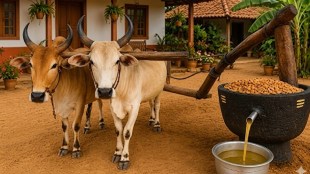 Kutchya Ghanyache Tel vs Refined Oil