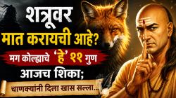 शत्रूवर मात करायची आहे? मग कोल्ह्याचे ‘हे’ ११ गुण आजच शिका; चाणक्यांनी दिला खास सल्ला…