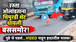 ‘पैसे पुन्हा कमावता येतील, पण लेकरू नाही’; चिमुरडी धावली थेट बससमोर, पुढे जे घडलं…VIDEO पाहून हादरतील पालक!