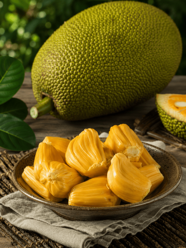 jackfruit recipes
