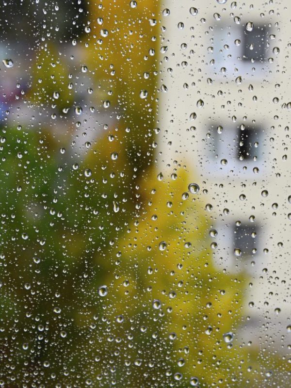 How to stay safe from monsoon diseases