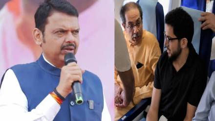 एकत्र विमान प्रवासावरून आरोप-प्रत्यारोपांच्या फेऱ्या; “मला पंखच नाहीत, मग छाटणार कोण?” मुख्यमंत्री फडणवीसांचे उद्धव ठाकरेंना प्रत्युत्तर