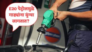E20 fuel petrol ethanol ants myth facts