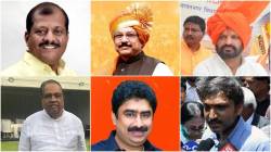 अग्रलेख : विकासातुराणां न भयं…