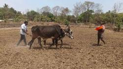मान्सूनच्या प्रतीक्षेत रायगड; पेरण्या खोळंबल्या, टंचाईचे संकट गडद