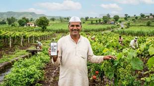 Nashik division unseasonal rain compensation 2026 | Maharashtra farmers crop damage relief fund | Nashik Dhule Jalgaon Ahilyanagar Nandurbar DBT money | Maharashtra monsoon agriculture crop loss updates