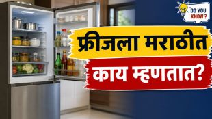 What is the Marathi word for fridge and refrigerator