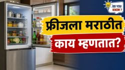 ‘फ्रीजमधून पाणी काढ ना’, असं म्हणणाऱ्यांनो; फ्रीजला मराठीत काय म्हणतात तुम्हाला माहितीये का? उत्तर ऐकून व्हाल थक्क…