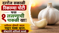 दररोज सकाळी रिकाम्या पोटी फक्त १ लसणाची पाकळी खा! शरीरात होणारे बदल पाहून थक्क व्हाल, डॉक्टरांनी सांगितले फायदे