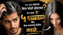 २५-३० वयातच केस पांढरे होतायत? मग फक्त ‘हे’ ५ सुपरफूड्स खा; केस कायमचे होतील काळे…