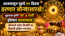 आजपासून पुढचे ११ दिवस ठरणार सोन्यासारखे! शुक्राच्या कृपेने ‘या’ ४ राशी होणार मालामाल; सोन्याने भरेल तिजोरी तर पैशांची होईल भरभराट…