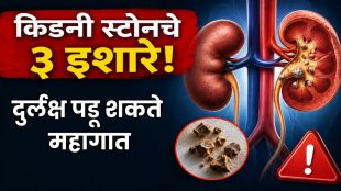 Early symptoms causes and prevention tips for kidney stones and kidney health awareness