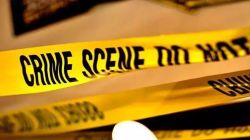 Pune Crime : पुण्यात संतापजनक प्रकार! कारच्या धडकेत पाळीव मांजर, श्वानाचा मृत्यू; विमानतळ, कोरेगाव पार्क पोलीस ठाण्यात गुन्हे दाखल
