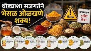 Food Adulteration detection methods and testing at home | ALT2: Expert Karishma Kamble explaining how to identify adulterated food | ALT3: दुधातील आणि मसाल्यांमधील अन्न भेसळ ओळखण्याच्या पद्धती | ALT4: घरच्या घरी खाद्यपदार्थांची शुद्धता तपासण्याची टेस्ट