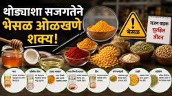 Food Adulteration Detection Methods: आपण रोज जे अन्न खातो, त्यातही भेसळ असते? तज्ज्ञ संशोधक सांगतात..‌.