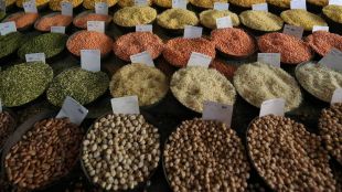 India wholesale inflation WPI spikes to nearly double digit in May | Inflation data impact on RBI repo rate and fuel prices | भारतातील घाऊक महागाई वाढली डब्ल्यूपीआय निर्देशांक | इंधन आणि खनिज तेल दरवाढ रिझर्व्ह बँक रेपो दर