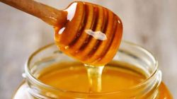 NCL National Honey Database : स्वदेशी मधांचा आता शास्त्रीय अभ्यास… ‘एनसीएल’चा काय आहे महत्त्वाकांक्षी प्रकल्प?