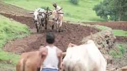 PM Kisan Samman Nidhi : पीएम किसान सन्मान निधीचा २३ वा हप्ता ‘ई-केवायसी’ केली तरच मिळेल, अंतिम मुदत कधीपर्यंत?