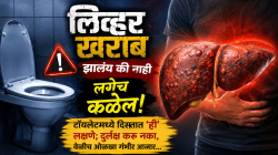 लिव्हर खराब झालंय की नाही लगेच कळेल! टॉयलेटमध्ये दिसतात ‘ही’ ४ लक्षणे; दुर्लक्ष करू नका, वेळीच ओळखा गंभीर आजार…