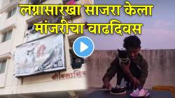 लग्नासारखा थाटामाटात साजरा केला मांजरीचा वाढदिवस; प्रत्येक सोय आणि ‘ते’ खास पोस्टर बघून खूपच हसाल; VIDEO होतोय व्हायरल