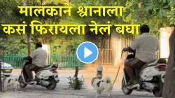 श्वानाला फिरवण्यासाठी जबरदस्त जुगाड! मालकाला चालावही नाही लागणार; मजेशीर VIDEO होतोय व्हायरल