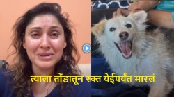 Video: “त्याला पोत्यात भरून खाडीत फेकलं…”, सोसायटीत कुत्र्याची क्रूर हत्या; अभिनेत्री मंजरी फडणीसला अश्रू अनावर