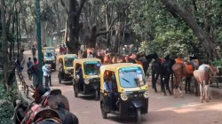 माथेरान-नेरळ घाट रस्त्यावर जड-अवजड वाहनांना तात्पुरती बंदी