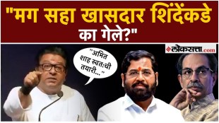 Raj Thackeray say on the issue of thackeray mp split