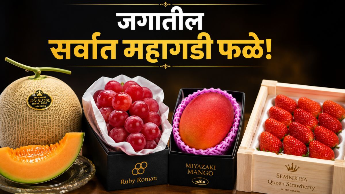 http://Most%20Expensive%20Fruits%20in%20the%20World%20overview