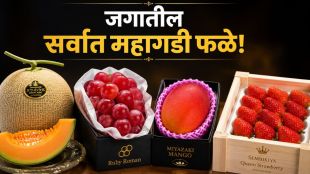 Most Expensive Fruits in the World overview