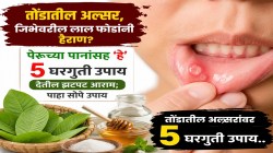 तोंडातील अल्सर, जिभेवरील लाल फोडांचा त्रास होतोय? पेरूच्या पानांसह ‘हे’ ५ उपाय ठरतील रामबाण; पाहा सोपे घरगुती उपाय