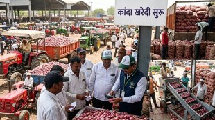 Nashik Onion Procurement