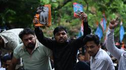 ‘आयझॅक न्यूटन महान वैमानिक होते’, ओडिशाच्या शालेय पुस्तकांमध्ये १ हजार ६७८ चुका; इतक्या चुका कशा झाल्या? चौकशीचे आदेश