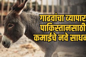 Martyr Agniveer Akshay Laxman Gawate