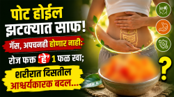 पोट होईल झटक्यात साफ! गॅस, अपचनही होणार नाही; रोज फक्त ‘हे’ १ फळ खा, शरीरात दिसतील आश्चर्यकारक बदल…