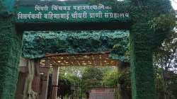 PCMC : २० कोटी खर्चूनही प्राणिसंग्रहालयाला १० वर्षांपासून टाळेच! आणखी…