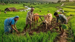 PM Kisan 23rd Installment date 2026 updates | PM Kisan Yojana 2000 rupees beneficiary status | पीएम किसान योजना २३ वा हप्ता कधी मिळणार | पीएम किसान सन्मान निधी योजना लाभार्थी यादी २०२६
