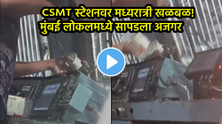 CSMT स्टेशनवर मध्यरात्री खळबळ! मुंबई लोकलमध्ये सापडला अजगर; VIDEO पाहून बसेल धक्का…