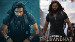 “धुरंधर’ची स्क्रिप्ट पंतप्रधानांच्या ऑफिसमधून आली होती का?” व्हायरल दावे अन् ट्रोलिंगवर राकेश बेदींचं स्पष्ट मत, म्हणाले…