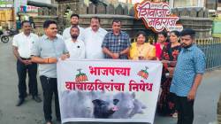 रोहित पवारांच्या उपोषणस्थळी भाजपचे शुद्धीकरण आंदोलन; पवार गटाचेही प्रतिआंदोलन