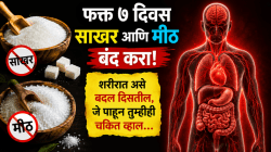 फक्त ७ दिवस साखर आणि मीठ बंद करा! शरीरात असे बदल दिसतील, जे पाहून तुम्हीही व्हाल चकित…
