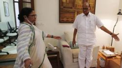 राष्ट्रवादी आणि तृणमूल हे काँग्रेसमध्ये विलीन होणार? शरद पवारांच्या ‘त्या’ विधानाची पुन्हा चर्चा होण्याचे कारण काय?