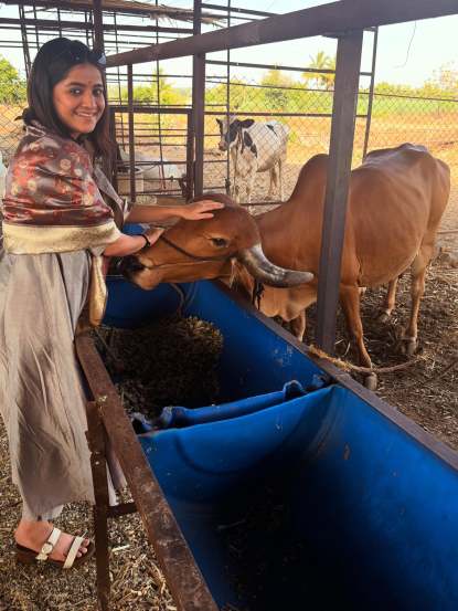 गोठा, शेती अन्…; शरयू सोनावणेने शेअर केले गावाकडील खास फोटो, फळांचा घेतला आस्वाद
