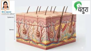 human skin functions and anatomy | skin layer structure and defense mechanism | skin aging and wrinkles causes | benefits of vitamin d for skin health